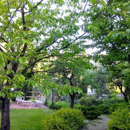 La Concordia